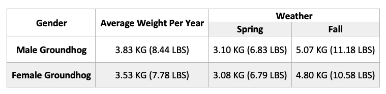 Groundhogs Weight table