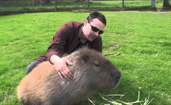 Are Capybaras Friendly to Humans