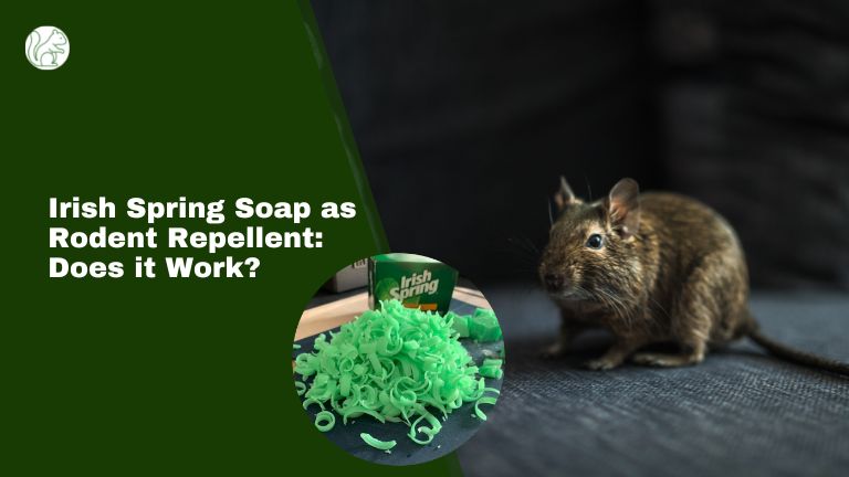 Does Irish Spring Soap Keep Rodents Away