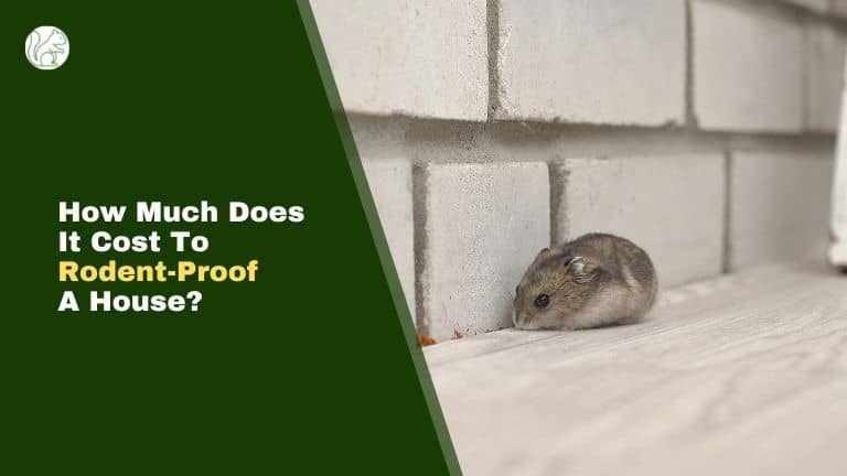 How Much Does It Cost To Rodent-Proof A House