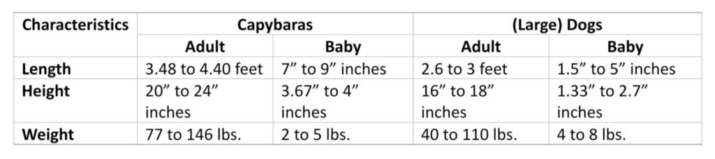 comparison table between capybaras and dogs