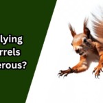 Are Flying Squirrels Dangerous