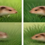 A side-by-side zoological illustration comparing the anatomical structure and scale of a Greater Capybara and a Lesser Dwarf Capybara in a grassy wetland environment